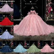 New Princess Quinceanera Dresses with Bow for Sweet 15 16 XV Party Ball Gowns