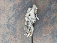 Natural Driftwood for Plants Terrarium Taxidermy Art Projects