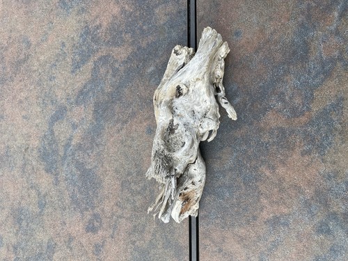 Natural Driftwood for Plants Terrarium Taxidermy Art Projects