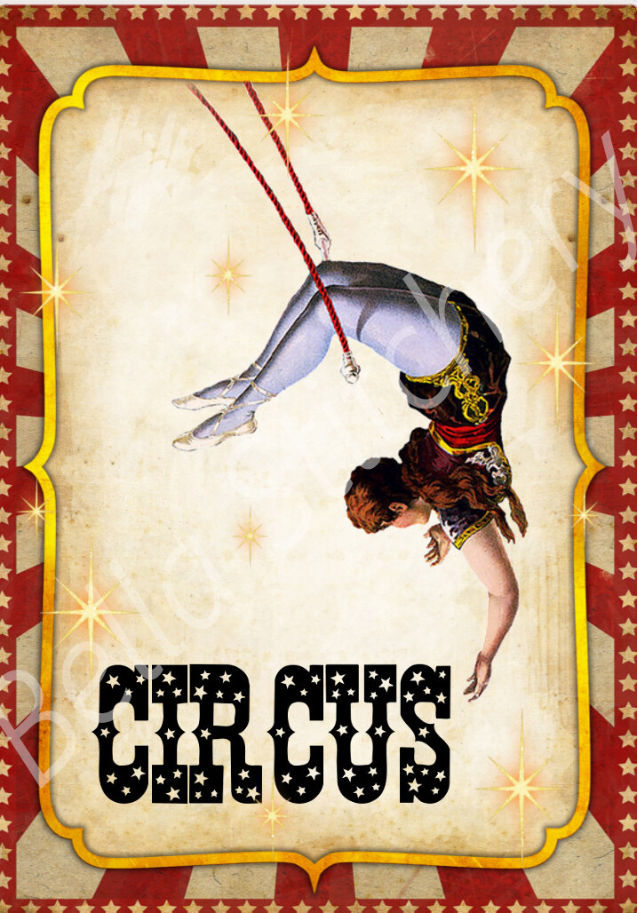 Vintage Circus Trapeze