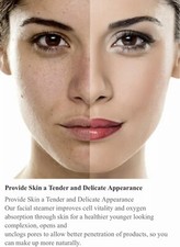 Pro Nano Ionic Facial Steamer. Your Personal Beauty Care Expert. Brand New 