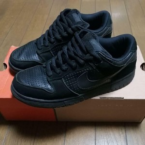 nike sb gino iannucci