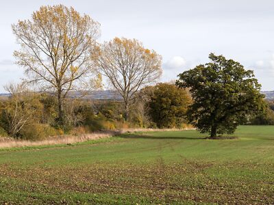 Photo 12x8 Autumn Fields Batsford View ESE from the footpath to Bourton-on c2015