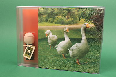 Raumduft Servietten Geschenkset Ternberger Duftöl Traumduft