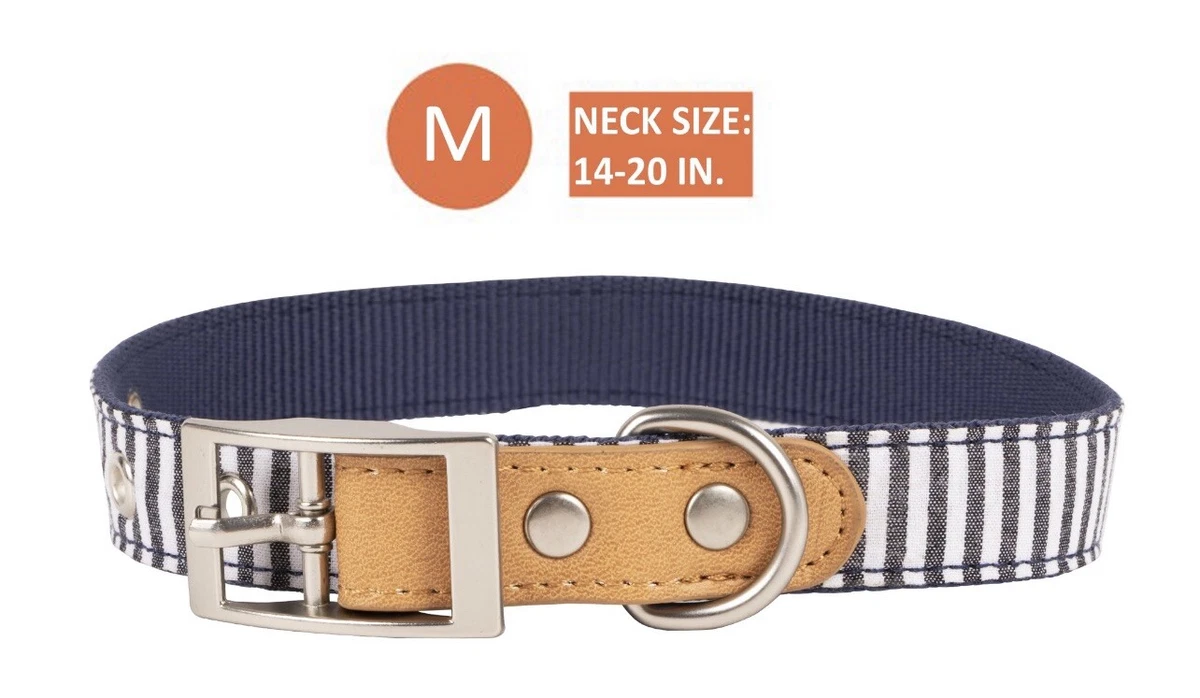 Metal clasp dog collars cheap