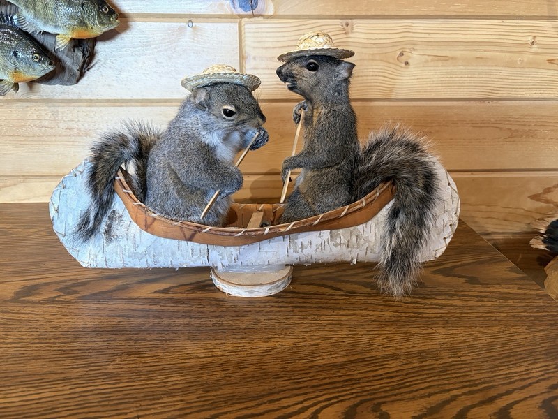 New Taxidermy 2 Squirrel In A Birch Bark Canoe Mount Novelty  Decor. Log Cabin