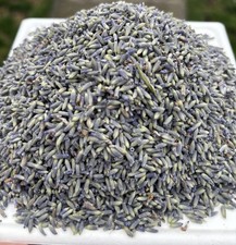 Lavender Flower French Buds 1 pound  from GROSSO strong aroma Lavandula Inte