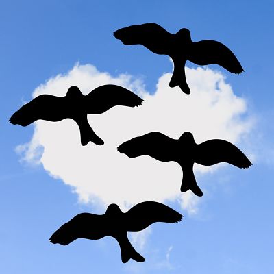 4x Vogel Aufkleber 10cm Fensteraufkleber Warnvogel Vogelschutz Sticker V3 Ebay