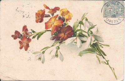 Old postcard snow piercing and GIROFLÉE