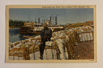 #ad Vintage Linen Postcard Levee Scene Water Front Loading Cotton Memphis TN $3.48