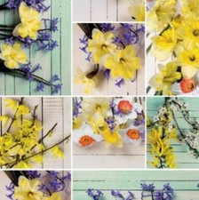 Nappe en Toile Cirée Nappe Sauté Été Jonquille Fleurs B4036-01 Carré Rond Oval