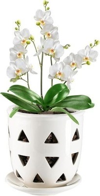 Aulock 6in Ceramic Orchid Pot with Drainage Holes