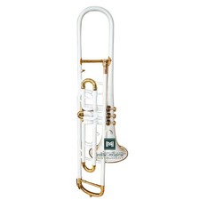 Bb Valve Trombone Brass Instrument 3-Valve Design With a Hard Carry Case.