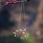Foto 6 di 11