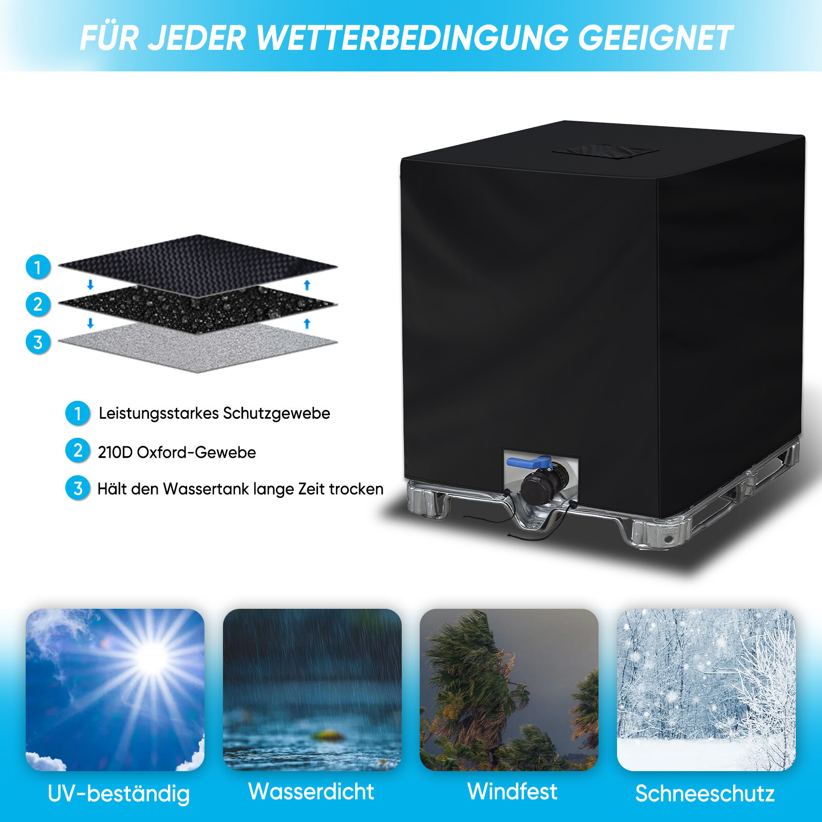 Bild 9 von 12