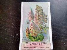 Mignonette D.M. Ferry & Co. Detroit Michigan Perfume Trade Card