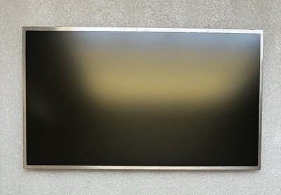 LG Display 17.3'' Laptop Matte LCD Screen Display 40pin LP173WF1 (TL)(B3), *READ*