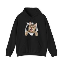 Cat Hoodie, Cat Torn Cloth Cats Owner Kitten Lovers Women Men Funny Hoodie