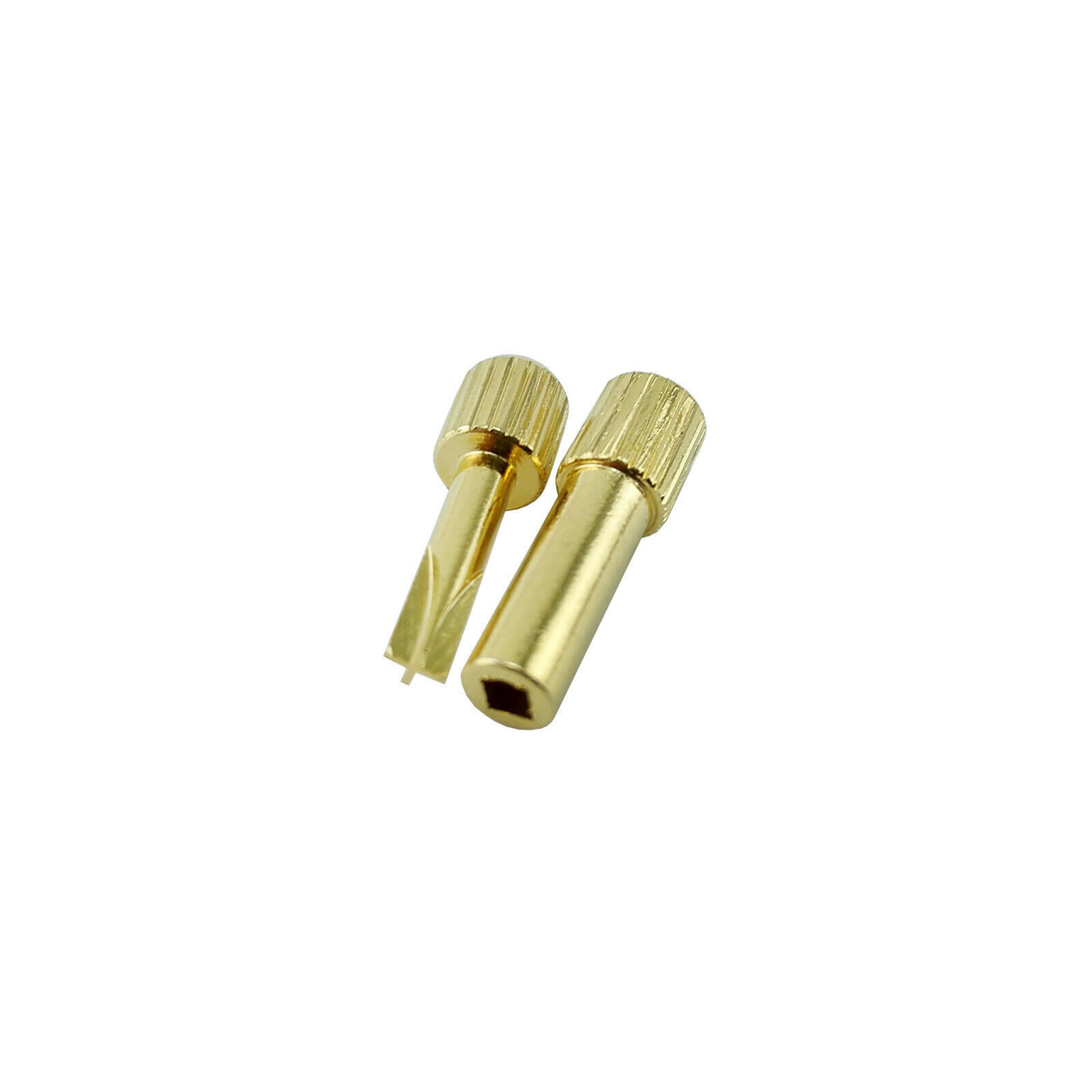 Dental Nordin Style Gold Plated Endodontic Root Canal Screw Post Key