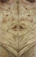 Knife Scales/Pistol Grips Curly Golden Camphor Wood Burl Bookmatch Handles