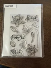 Simon Says Stamp,  Friendship Blooms SSS101600