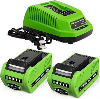 2 Pack 40V 6000mAh Ultra High Capacity Lithium Replacement Battery and 29482 ...