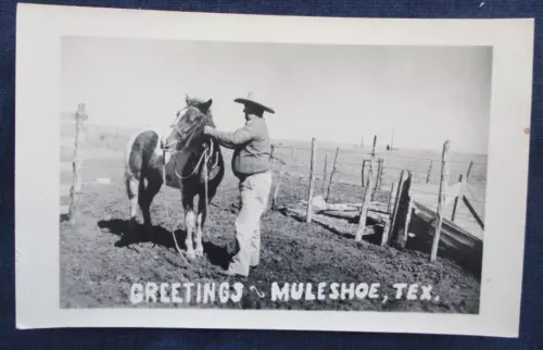RP Muleshoe Texas Cowboy & Horse Greetings ca1950 Postcard