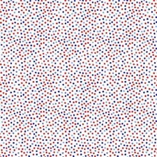 Garden Pindot cotton quilt fabric Michael Miller CX1065 Patriotic Dots on White