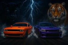 Set 4 Realistic Digital Wall Art Print Tiger  Decor Printable instant hellcat