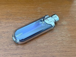Sony Nw-E507 for sale | eBay