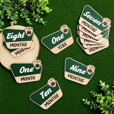 12 Pcs National Park Baby Monthly Photo Props Cards Rustic Wooden Baby Months...