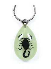 BLACK SCORPION Keychain Ring Glow In Dark Real INSECT Genuine  Key Chain Keyring