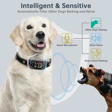 GPS Wireless Dog Fencing System, Anti-Barking Device with LED Color Screen
