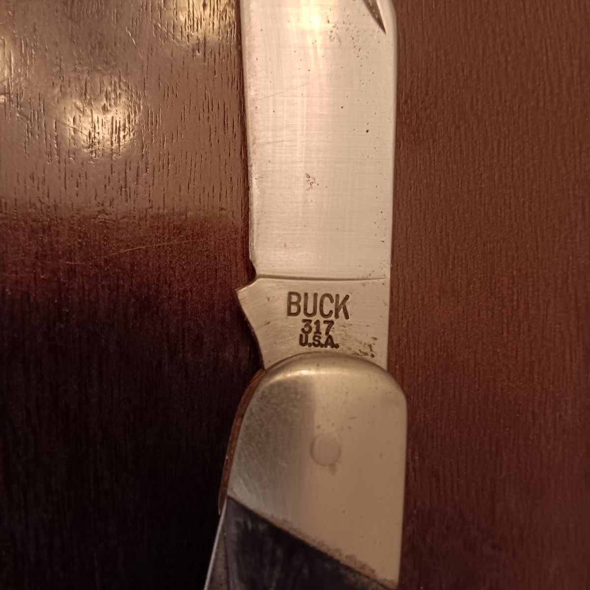 BUCK バック 317 ナイフ 012 0 Buck Trailblazer Saw Cut Forums