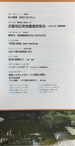 Kokugyo Nishikigoi NICHIRIN No.597 2017 Japanese Carp Specialty Magazine Used - Picture 5 of 12