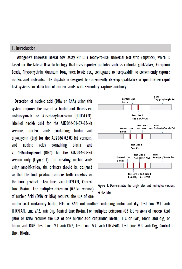 Ensayo de flujo lateral universal para uso con partículas Strep Reporter suministradas por el usuario Foto 4 de 4