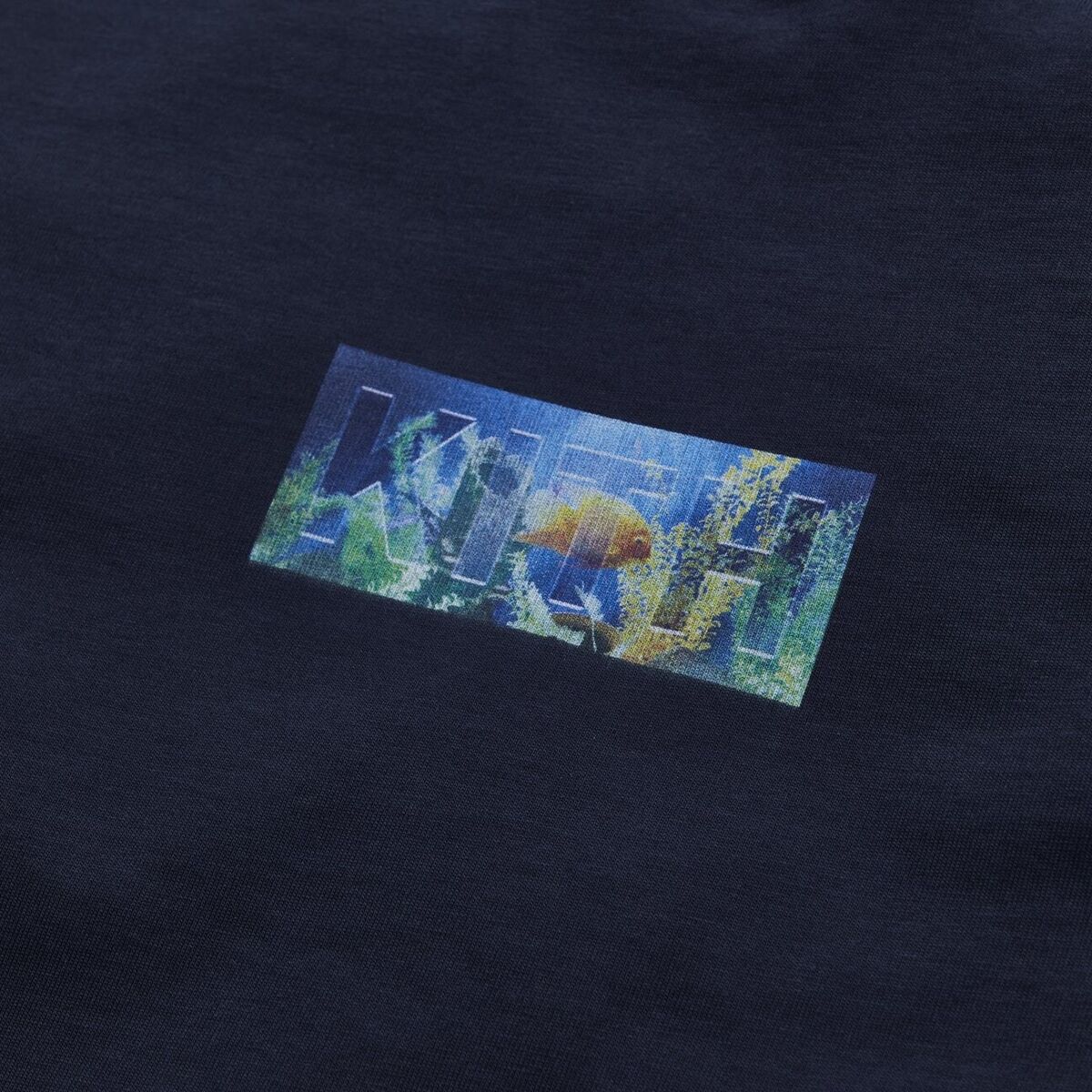 ☆ KITH Fish Tank box logo tee ロゴTシャツ ☆ Brand New Kith Fish Tank Classic Box Logo Graphic Tee