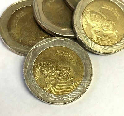 Colombia 500 Pesos Bi-Metal GLASS FROG ''Rana da Cristal'' coin (2012-Present)