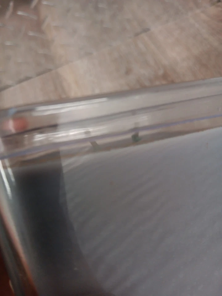 Yankee Candle 2003 retirado bambú almizcle grande 2 mechas vela 15,8 OZ Foto 3 de 4