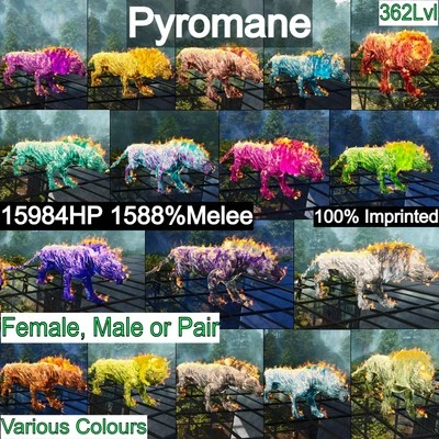 ASA🦖Ark Survival Ascesad Pve🔥 Pyromane 362Lvl 1588%dmg Stampato🔥