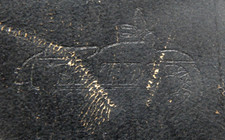 VINTAGE BATES SOLO SEAT RARE LOGO TRIUMPH NORTON HARLEY DAVIDSON CHOPPER MCM