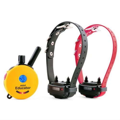 Pädagoge E-Halsband Mini Pädagoge 1/2 Meilen Fernbedienung Hundetrainer ET-300 ET-302 - Bild 13 von 19