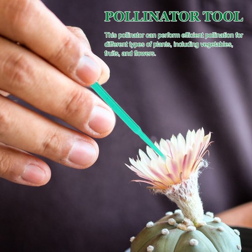 100Pcs Vegetable Pollinator Tools Fruit Pollinator Garden Pollinator Tools New - 第 5/12 張圖片