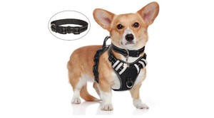 winsee dog harness