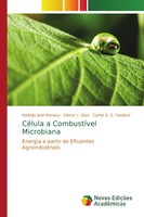 Rodrigo José Marassi (U. A.) | CéLula A CombustíVel Microbiana | Taschenbuch