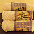 15 oz. CARON SIMPLY SOFT BABY BRIGHTS OMBRE VARIEGATED ACRYLIC YARN SAME DYE LOT