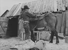 8" x 10" Photo 1939 Photo Packing a horse. Bozeman, Montana