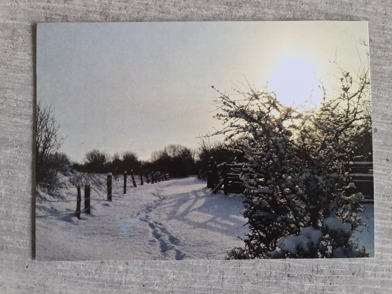 Bild 1 von 1