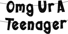 Omg Ur A Teenager Banner,Pre-Strung Glitter Funny 13th Birthday Party Black