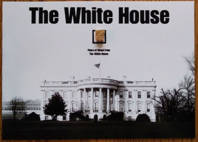 ◇◇◇ホワイトハウス◇P.White house （子株・板付け） ◇◇◇ホワイト